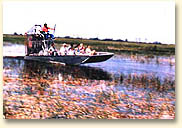Everglades Air Boat Tours